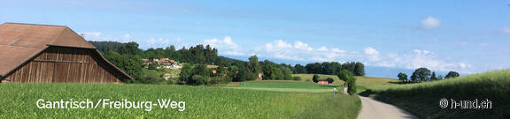 Gantrisch Friburgo: il Cammino di Santiago con il cane