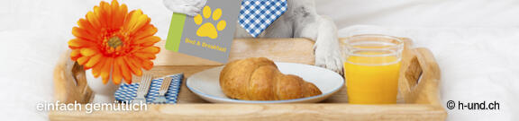 Pernottamento e prima colazione