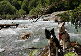 Shooting at the Vorderrhein