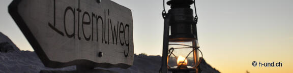 Luci e lanterne sentiero con cane