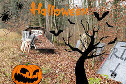 Luoghi dimenticati: scoprite la Svizzera con un cane